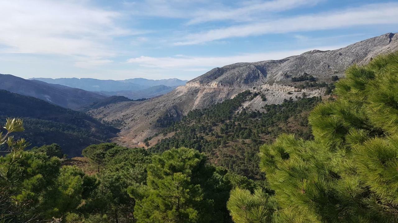 Cortes De La Frontera Townhouse Dış mekan fotoğraf