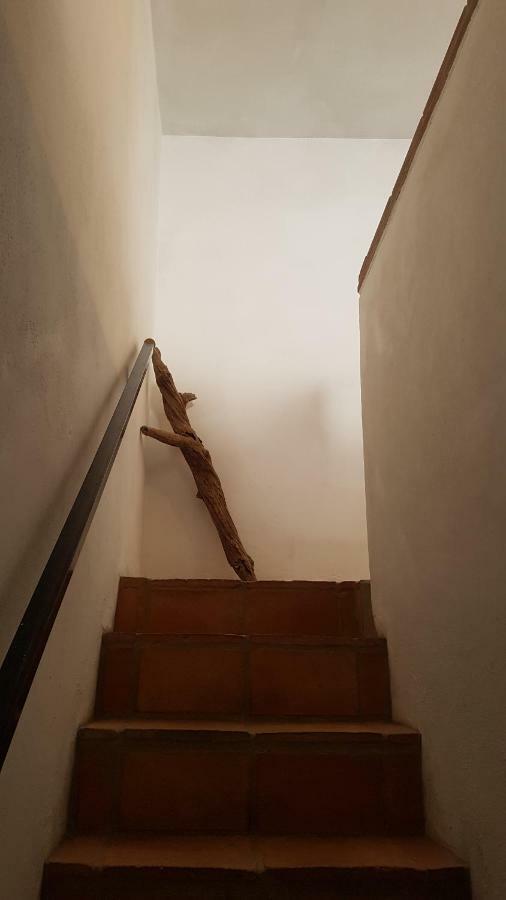 Cortes De La Frontera Townhouse Dış mekan fotoğraf